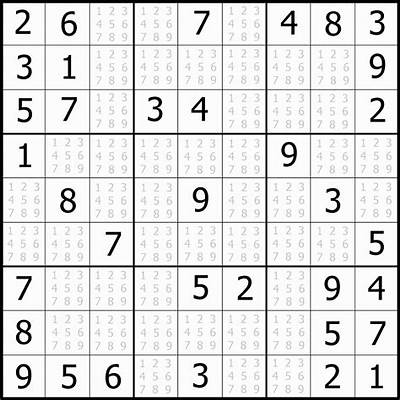 Large print medium x sudoku puzzles for adults paperback us import