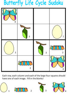 Butterfly life cycle sudoku