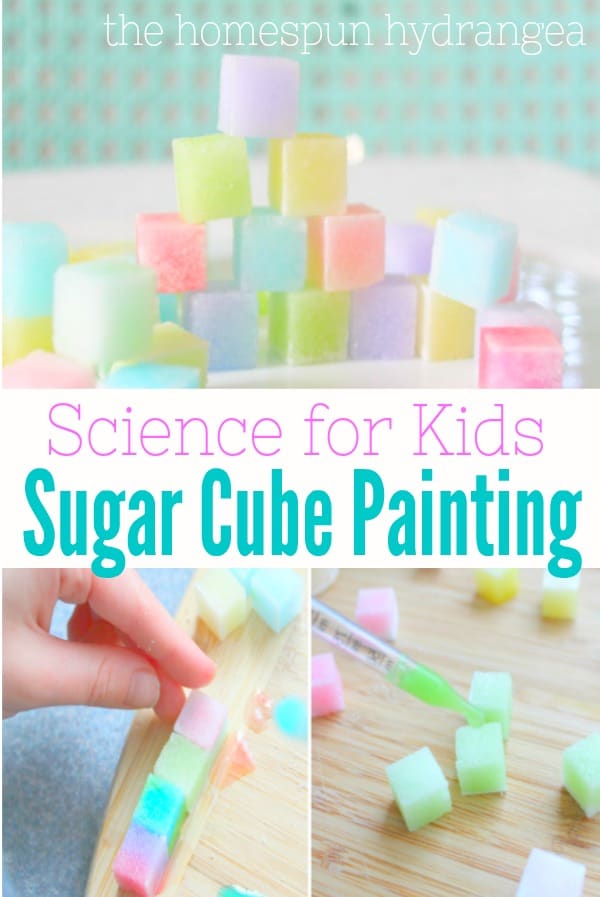 Stem activities for kids water color sugar cubes