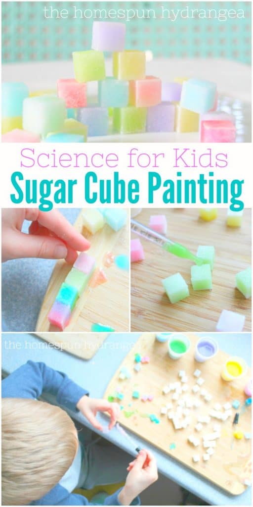 Stem activities for kids water color sugar cubes