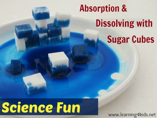 Absorption and dissolving science activity learning kids