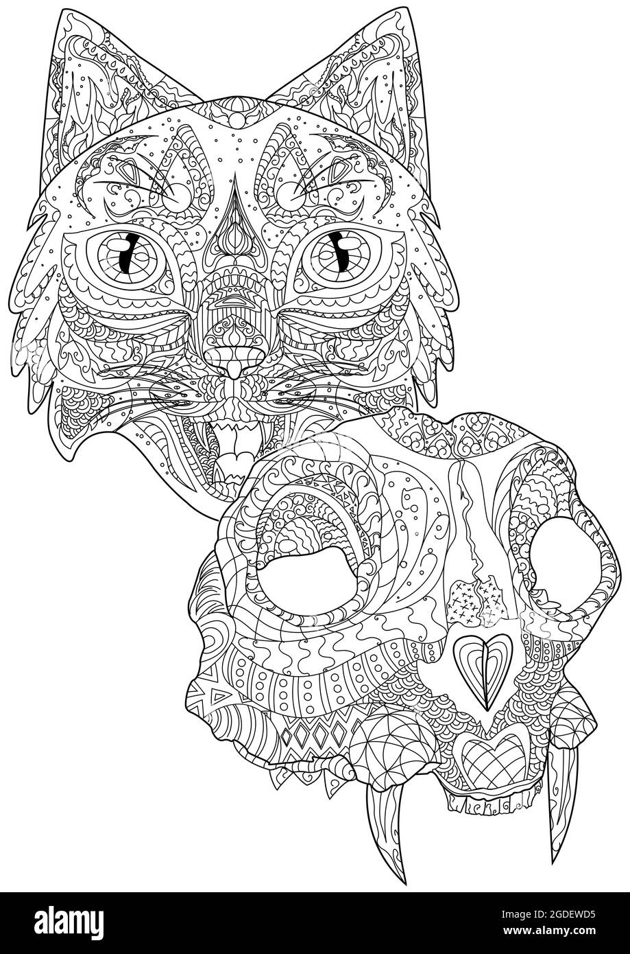 Cat head facing front and dead feline skull with fangs colorless line drawing large kitten heads front looking coloring book page stock vector image art
