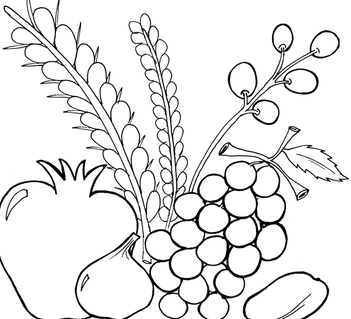 Sukkot coloring pages