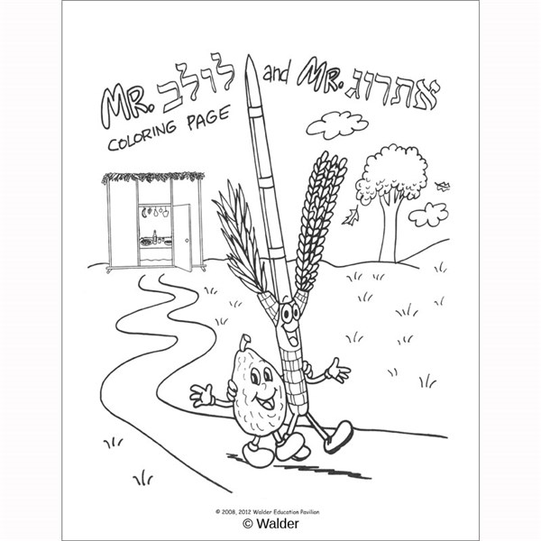 My sukkot fun time book walder education