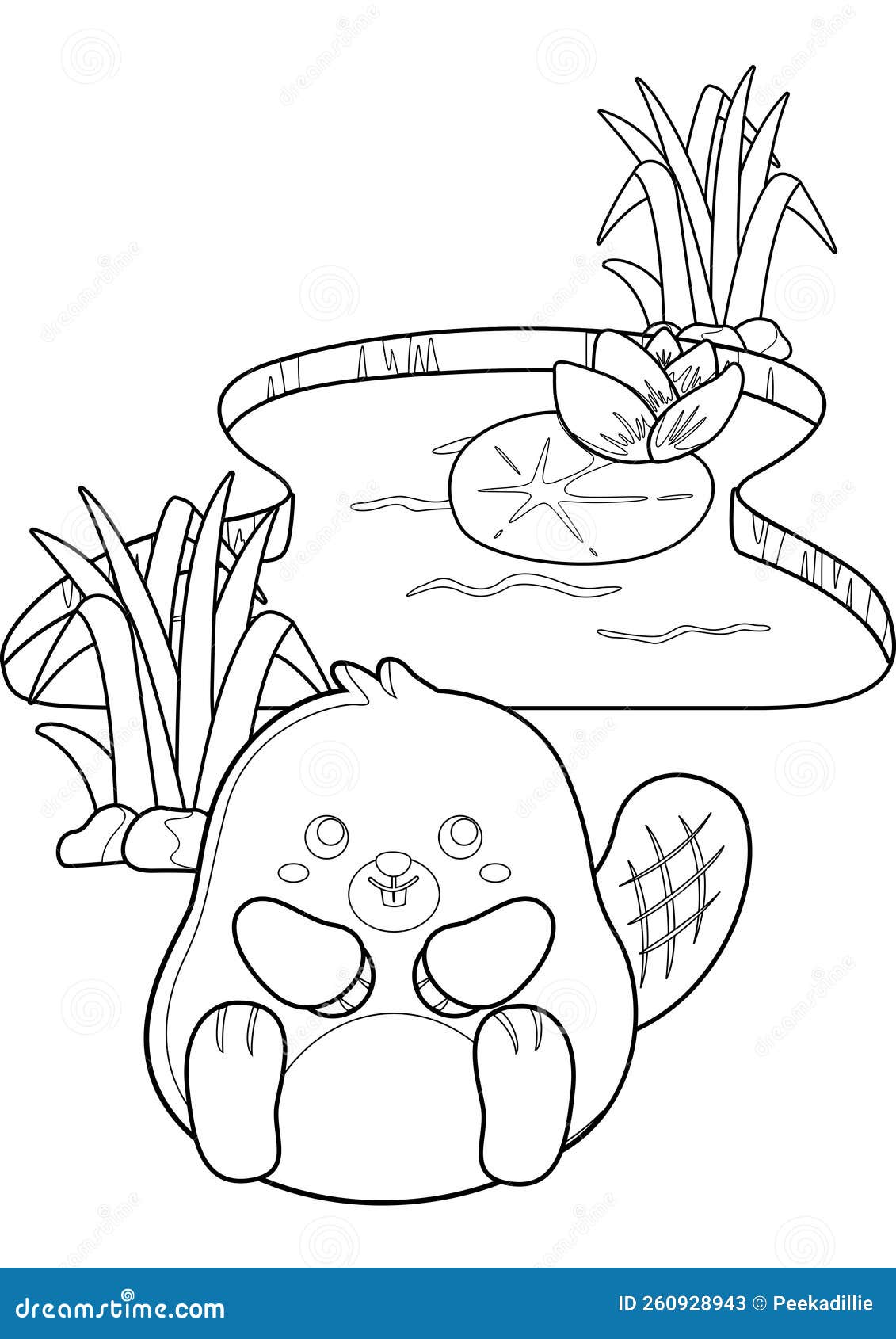 Cute beaver animal coloring pages a for kids and adult stock illustration