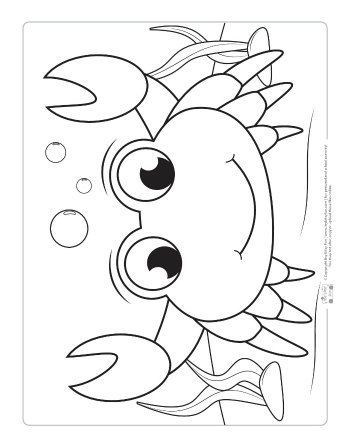 Ocean animals coloring pages for kids ocean coloring pages beach coloring pages summer coloring pages