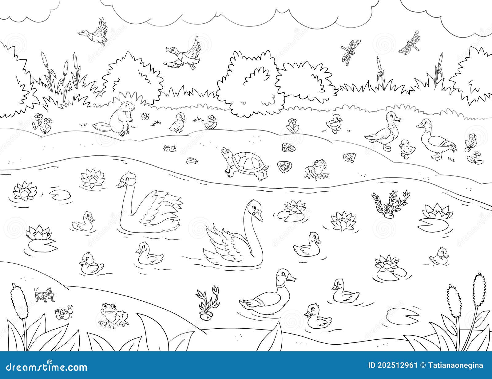 Coloring page with summer river landscape and birds stock illustration