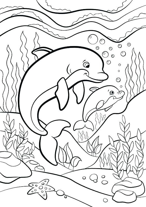 Cute animal coloring pages