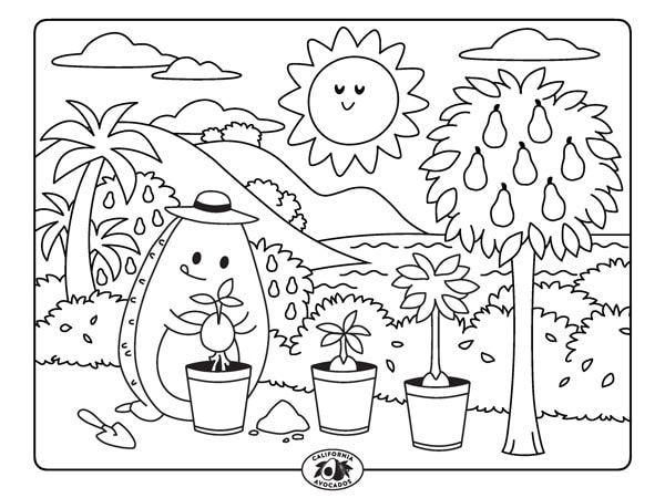 Create california art with avocado coloring sheets