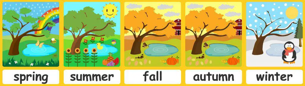 Seasons flashcards
