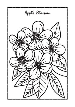 Summer flower coloring pages writing papers spring flower coloring book