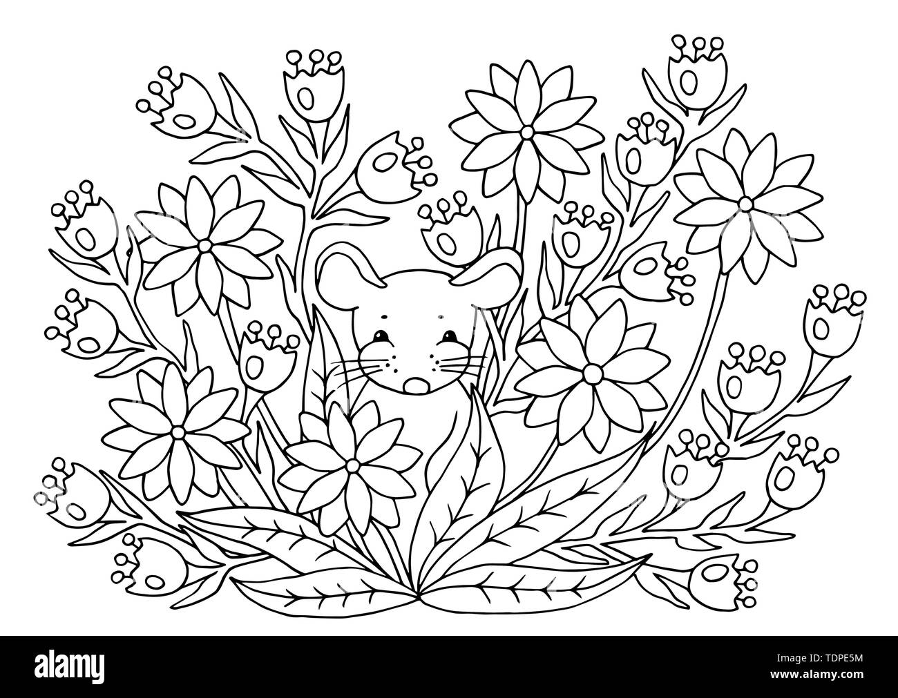 Cute abstract coloring page with summer flowers and mouse for kids and adults stock vector image art