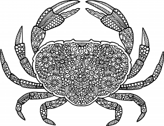 Free printable adult coloring pages for summer
