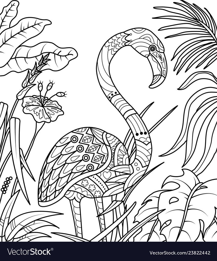 Flamingo in summer time coloring book royalty free vector