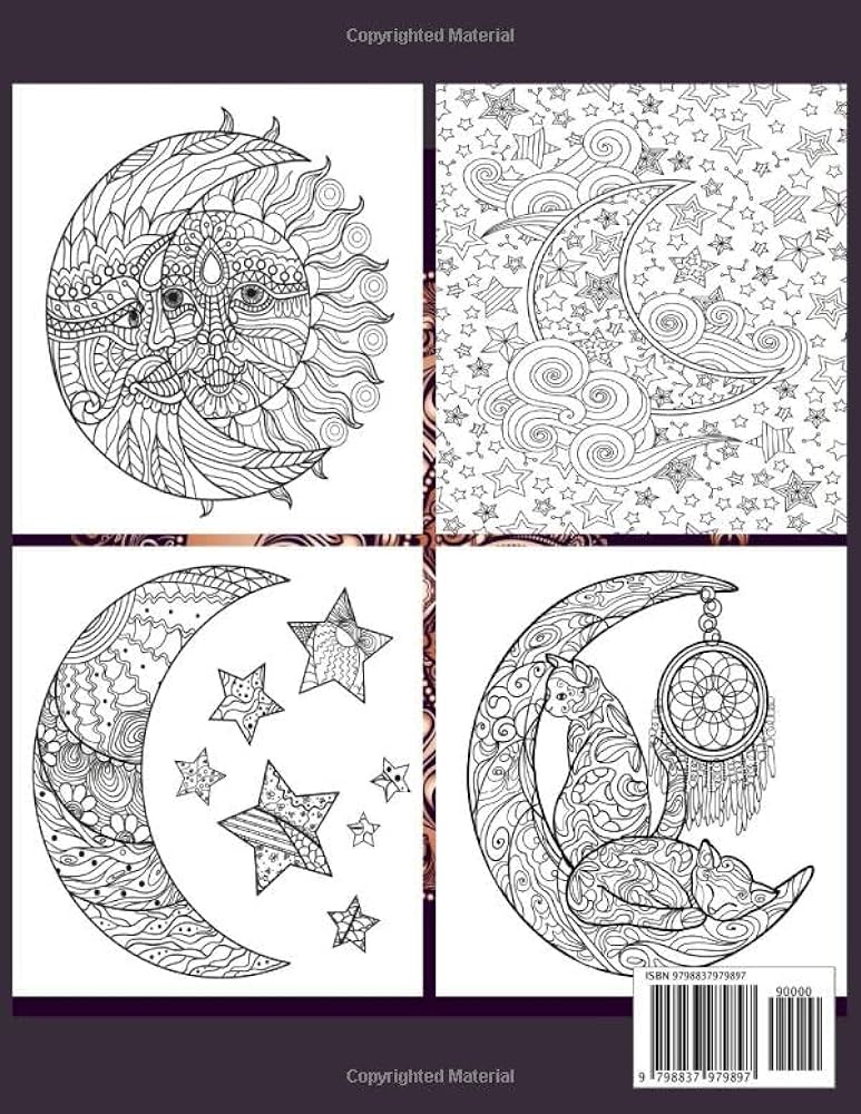 Sun and moon coloring book an unique adult coloring book featuring sun moon stars and planets mandala design for relaxation hosen mozammel books