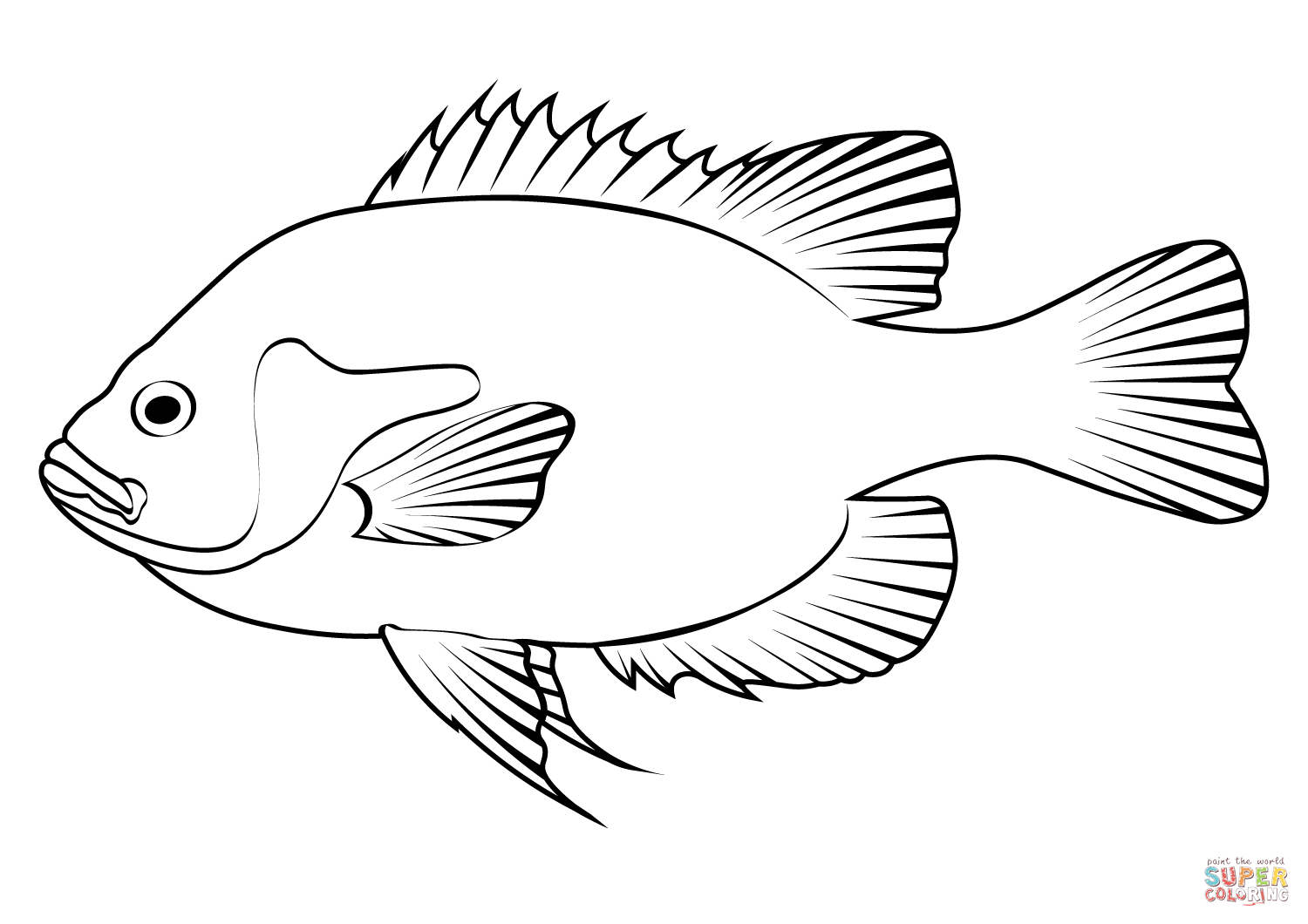 Redbreast sunfish lepomis auritus coloring page free printable coloring pages