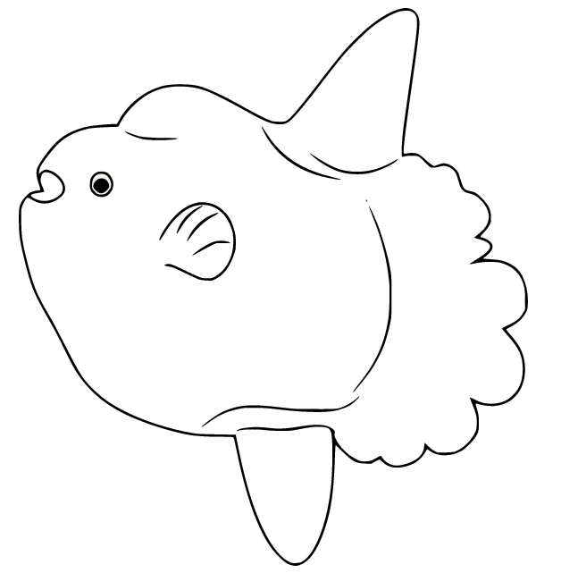 Sunfish coloring pages printable for free download