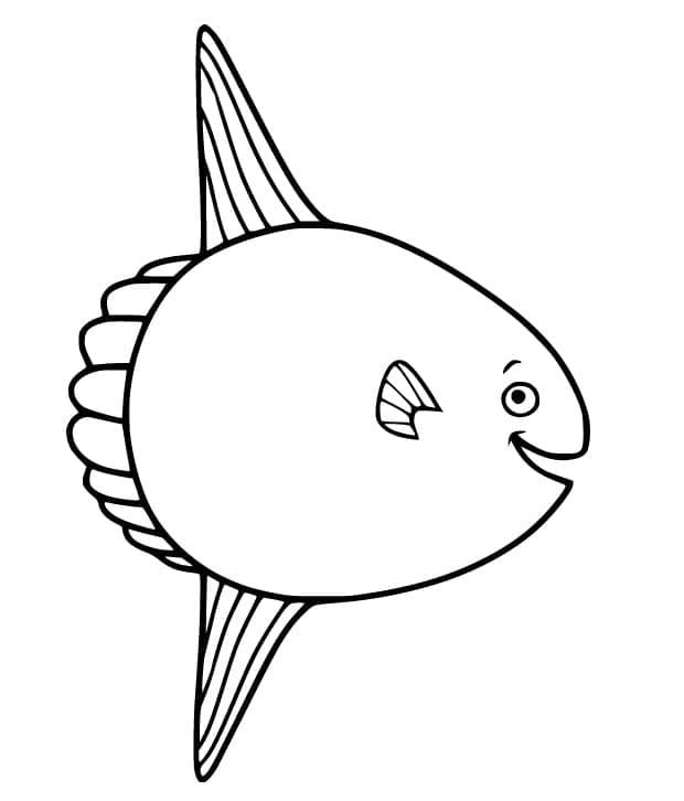 Cute sunfish coloring page