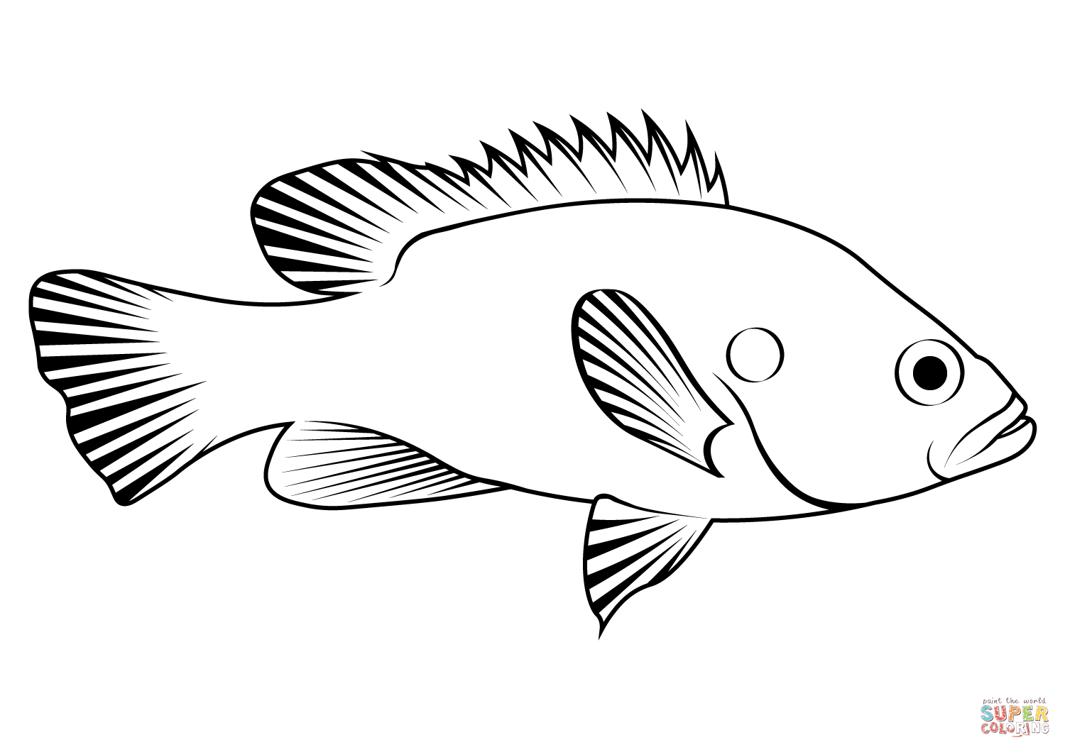 Green sunfish lepomis cyanellus coloring page free printable coloring pages