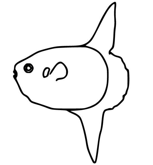 Sunfish coloring pages printable for free download