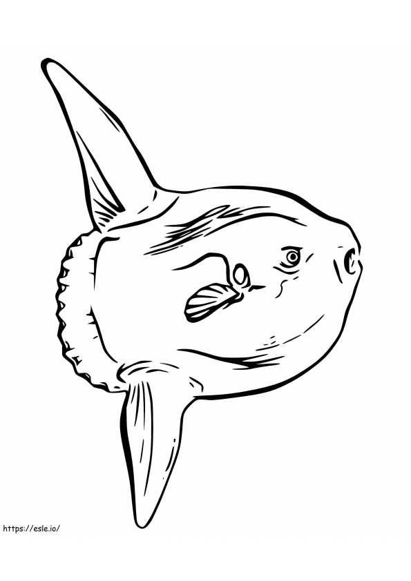 Free printable sunfish coloring page