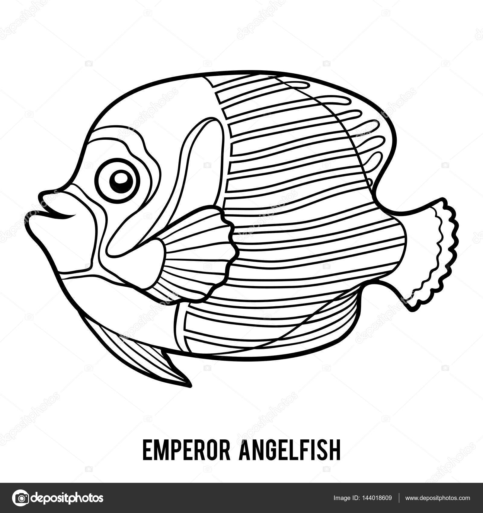 Coloring book emperor angelfish stock vector by ksenyasavva