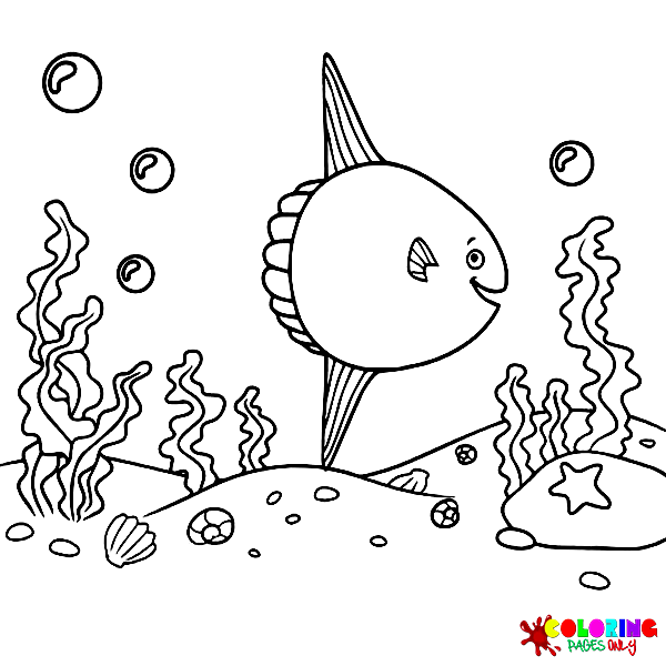 Ocean sunfish coloring pages