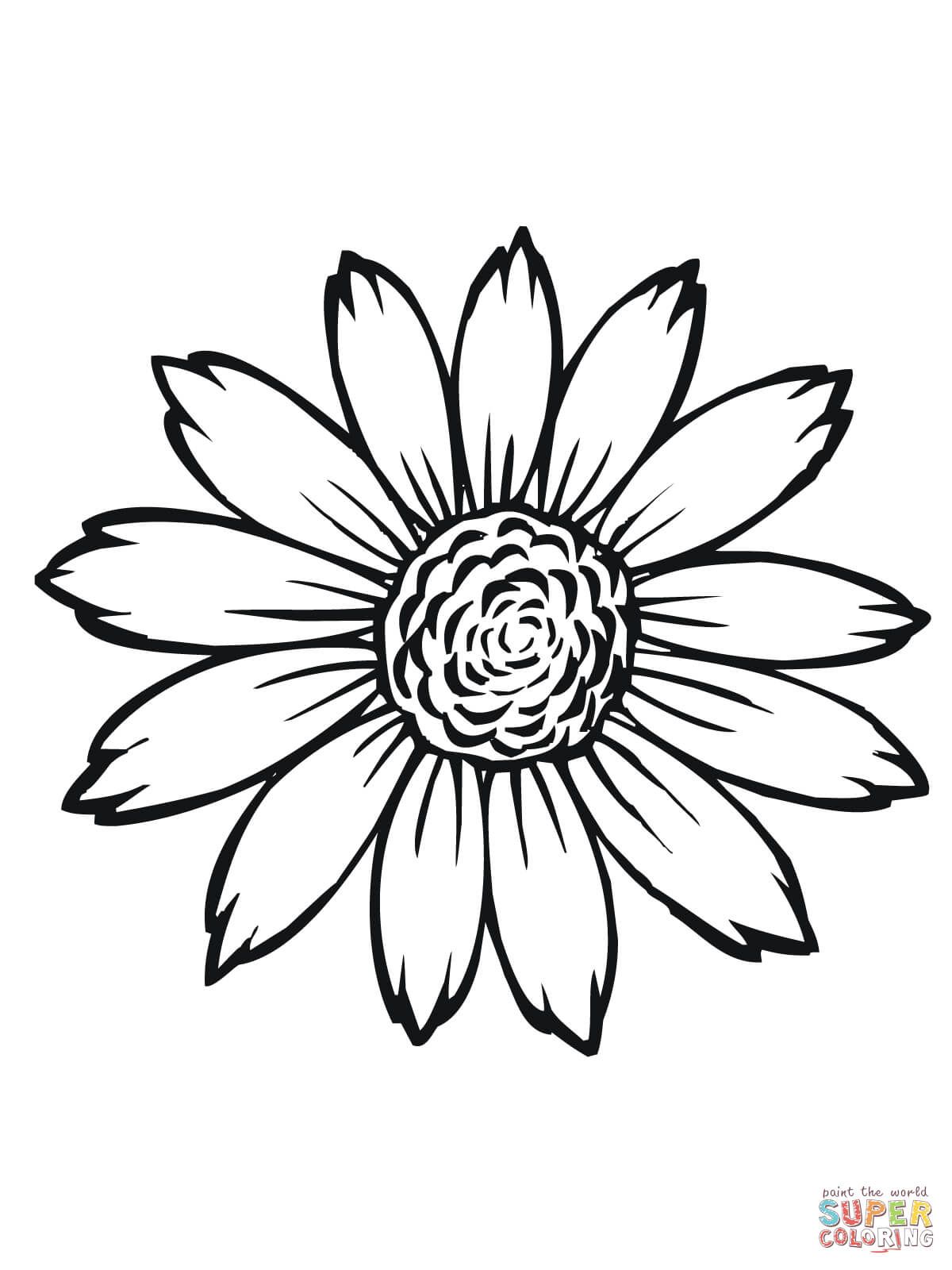 Sunflower flower coloring pages printable sketch coloring page sunflower coloring pages flower coloring pages mothers day coloring pages