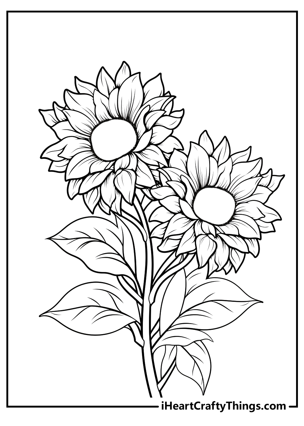 Sunflower coloring pages free printables