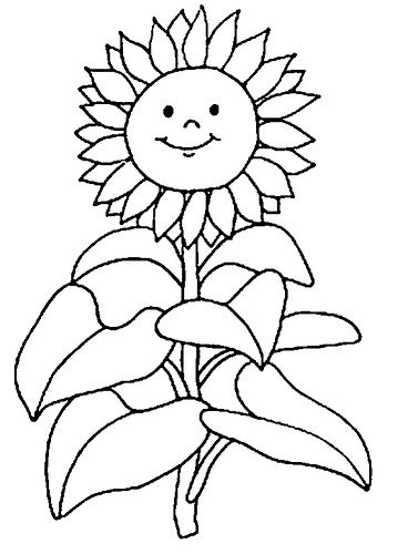 Sunflower sunflower coloring pages flower coloring pages coloring pages