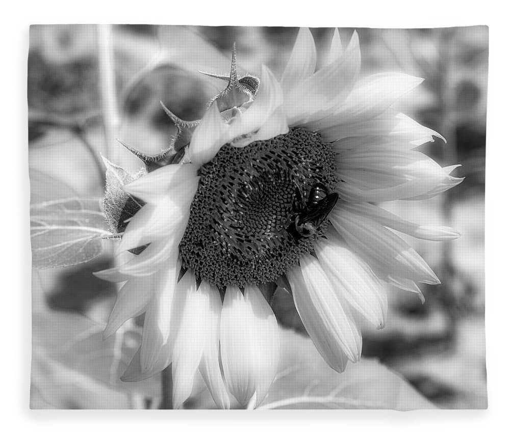Sultry black and white sunflower fleece blanket by as memoriesliveon