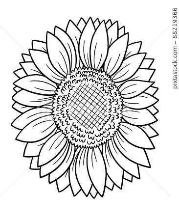 Sunflower coloring page for adults