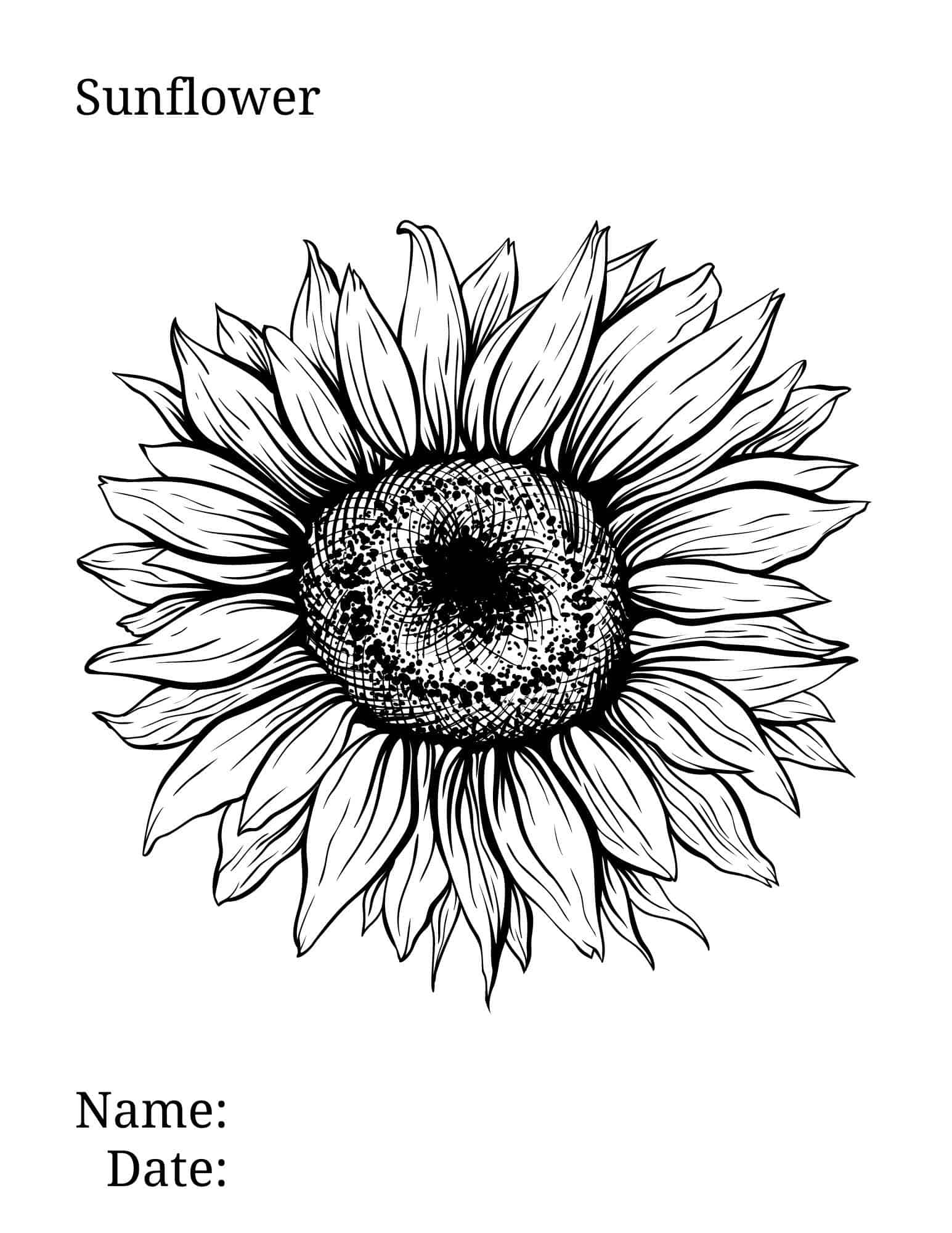 Sunflower coloring page ð ð brighten your day with floral fun
