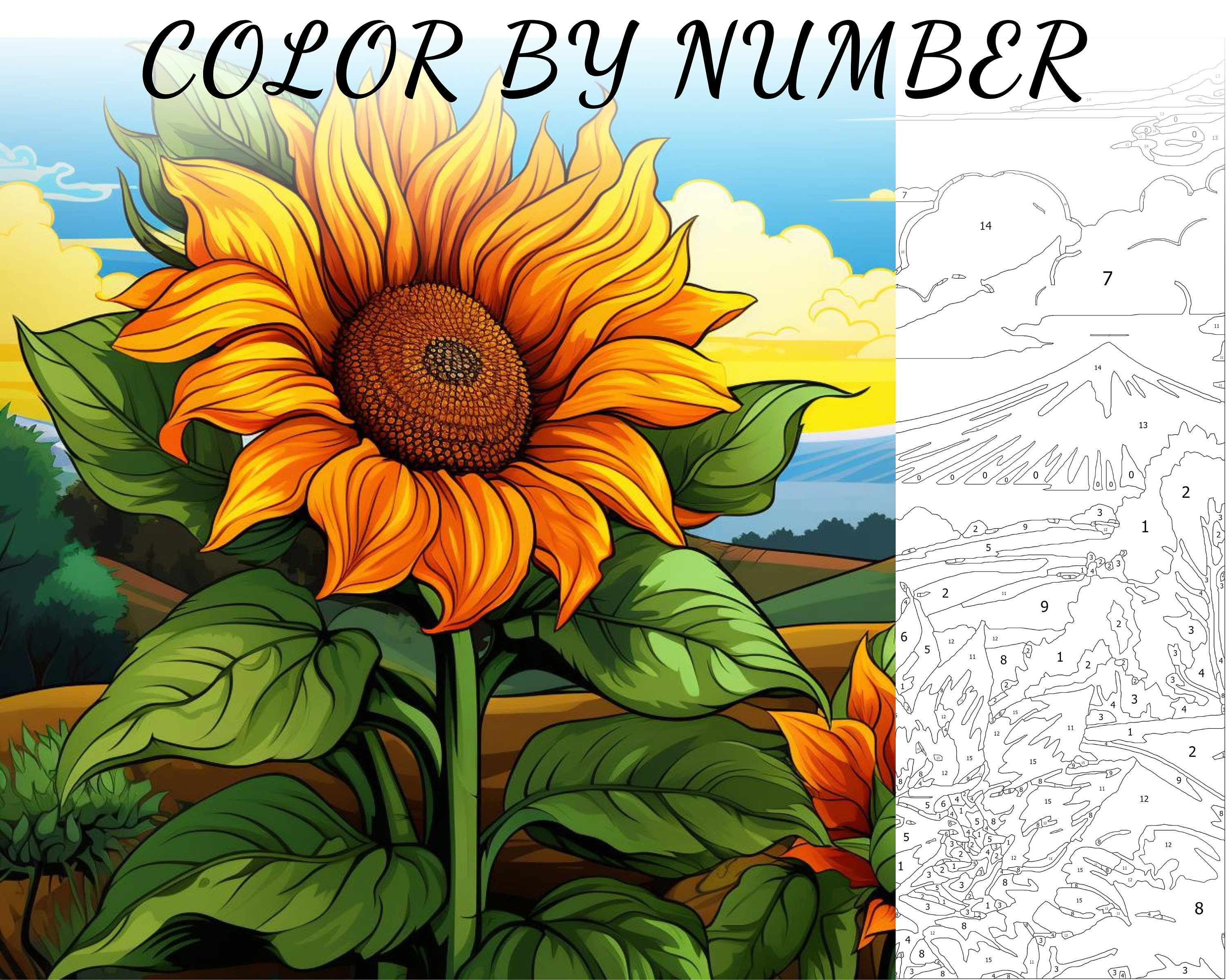 Color by number paint by number paint number adult coloring numbered color by number for adults flower coloring