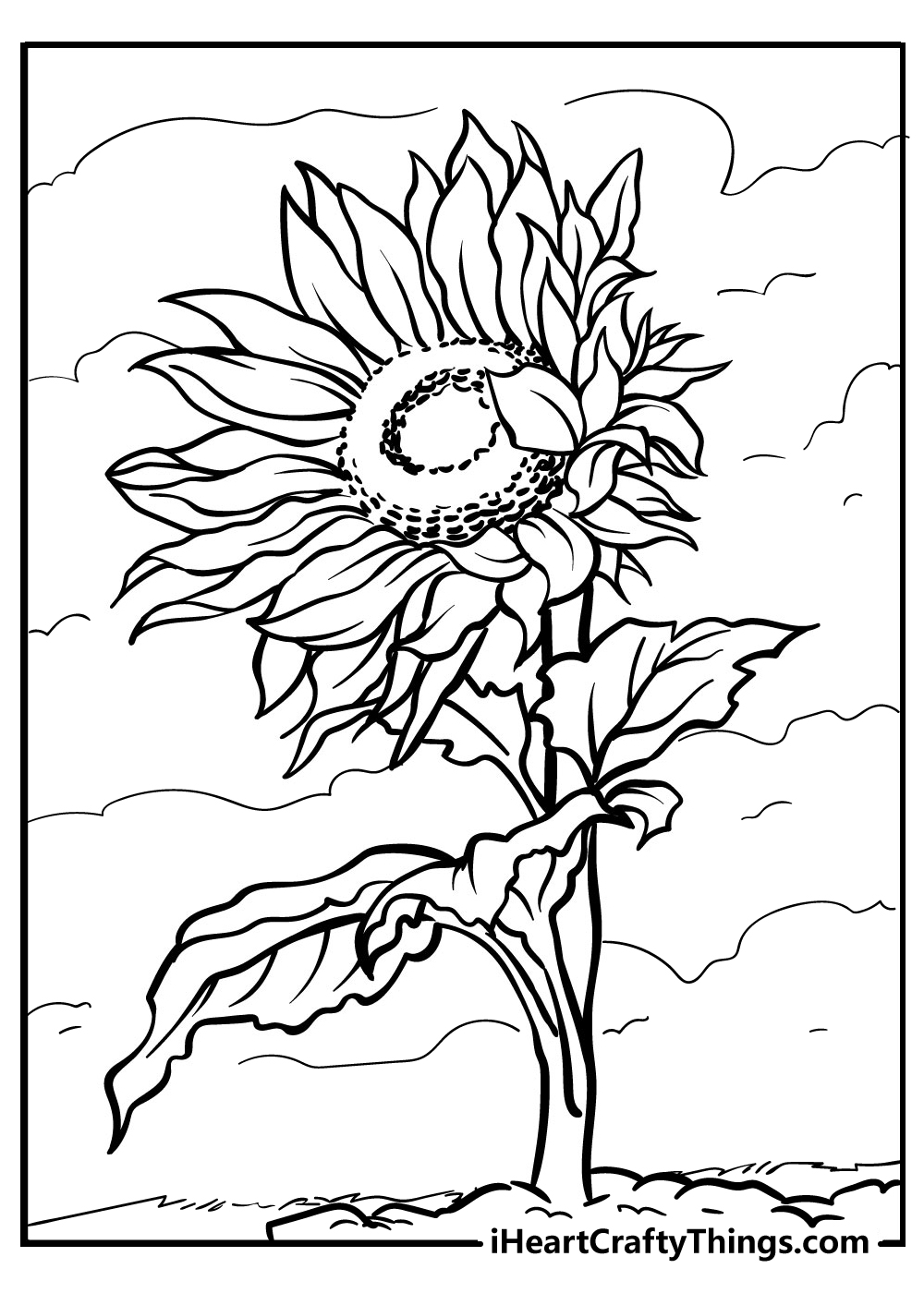 Sunflower coloring pages free printables