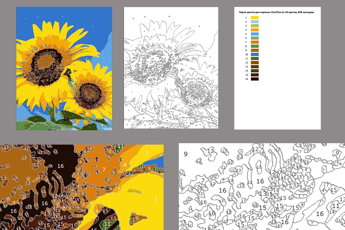 Paint by number sunflowers
