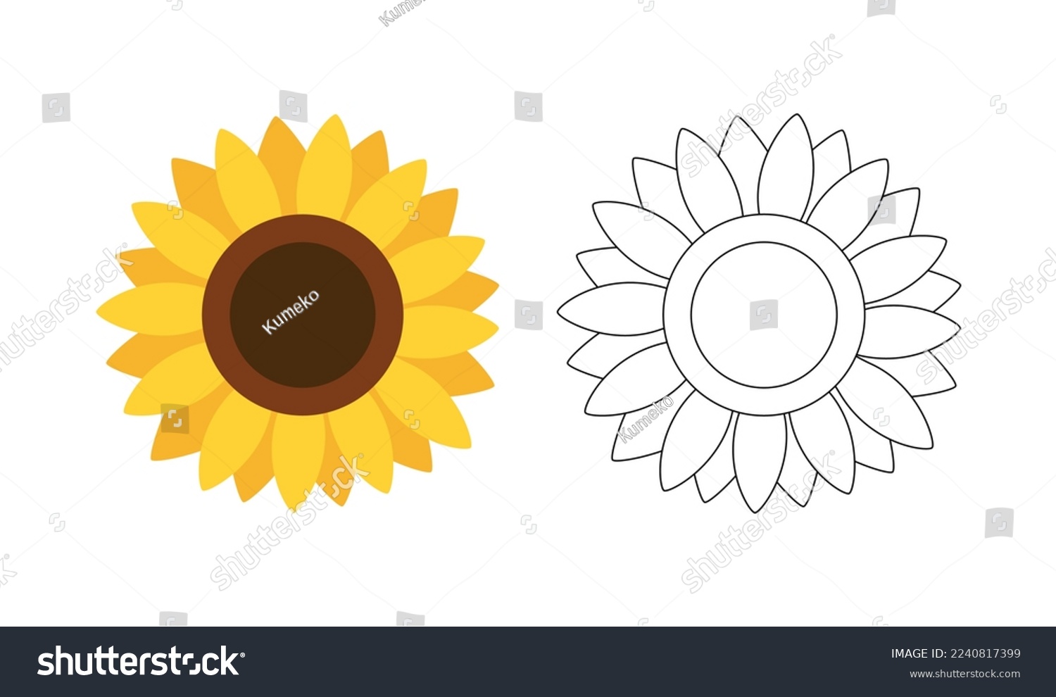 Sunflower coloring book images stock photos d objects vectors