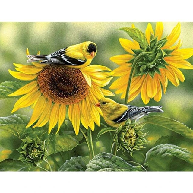 Sunflower bird flower oil painting by numbers canvas with frame handmade drawing paints for adults picture coloring decoration
