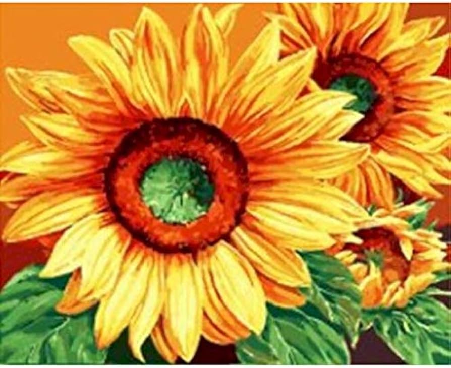 Paint by numbers painting by numbers paint by number sunflower diy kits on canvas picture drawing acrylic paint for adults coloring by number art no frame xcm toys games