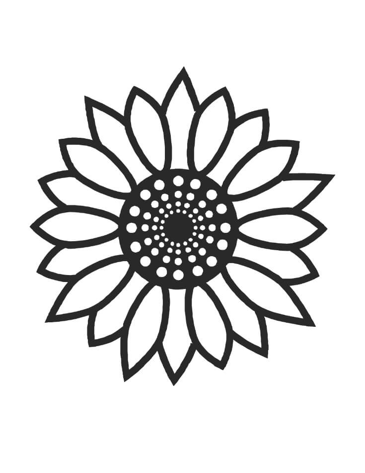 Sunflower drawing coloring page