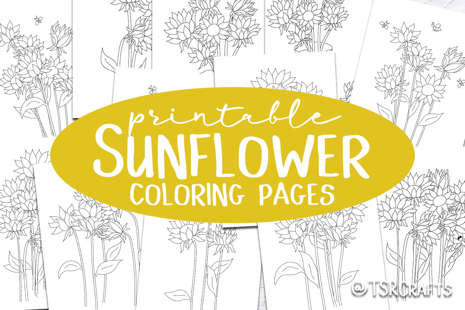 Printable coloring pages for adults and kids sunflower illustrations