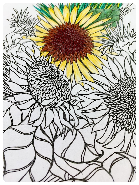Sunflower printable coloring page flower art digital download sunflowers adult coloring meditative hobby floral design coloring page