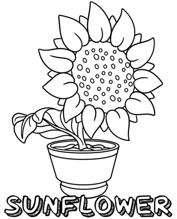 Free sunflower coloring pages pdf for kids