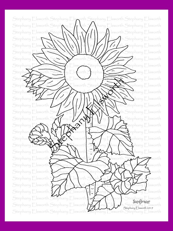 Sunflower x printable instant download coloring page