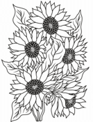Sunflower coloring pages free coloring pages
