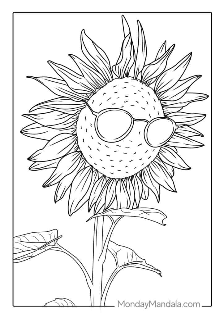 Sunflower coloring pages free pdf printables