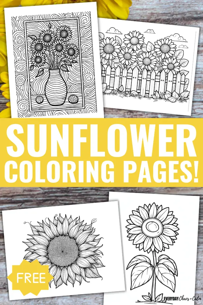 Free printable sunflower coloring pages