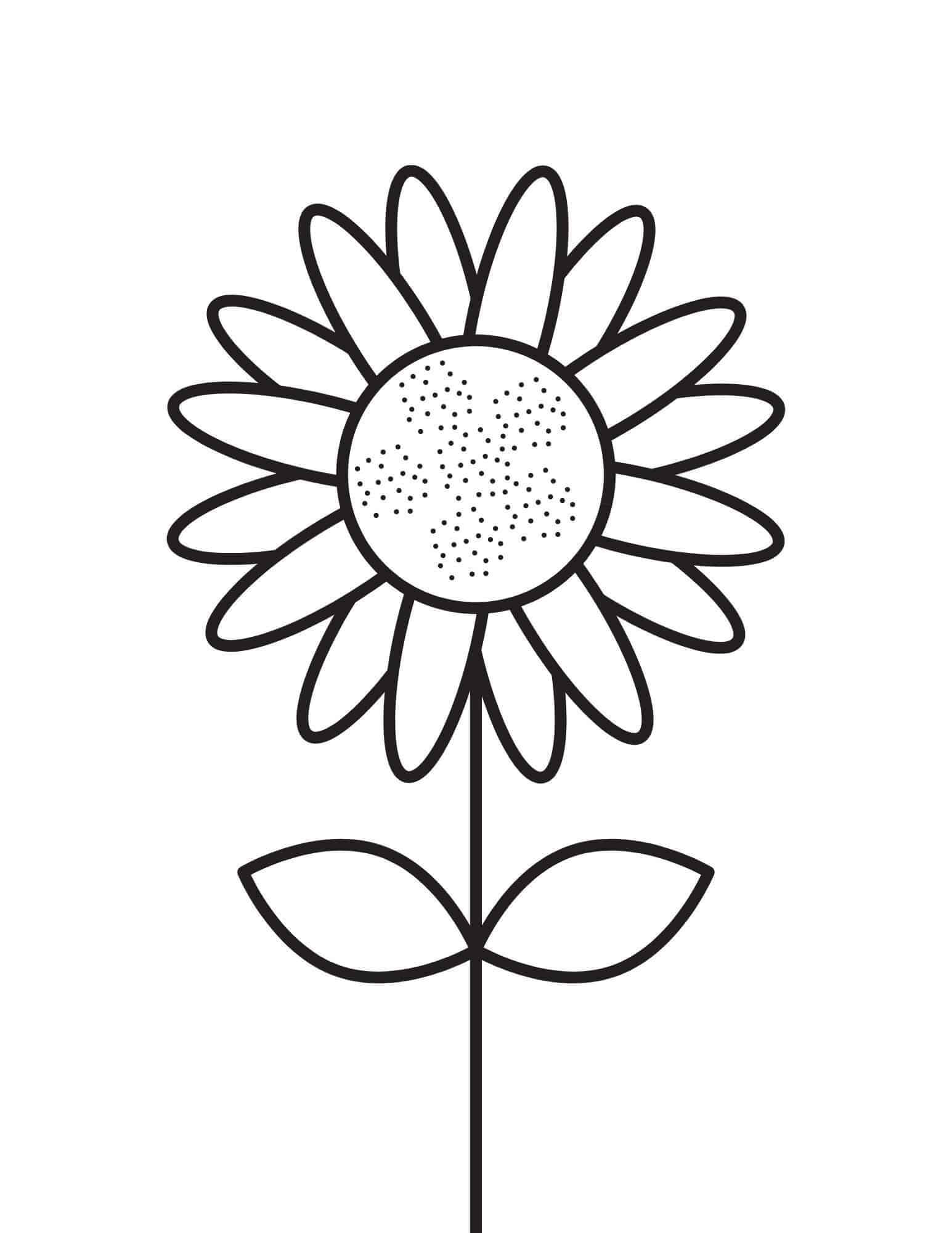Basic sunflower free drawing coloring page