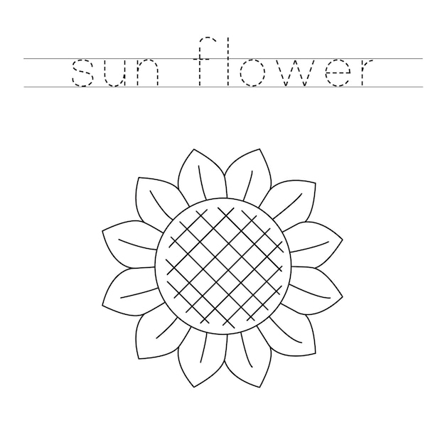 Premium vector trace the letters and color sunflower handwriting practice for kids