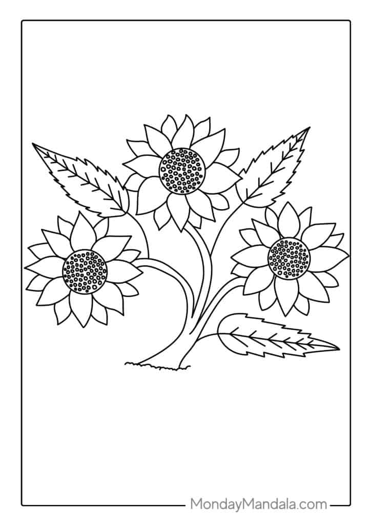 Sunflower coloring pages free pdf printables